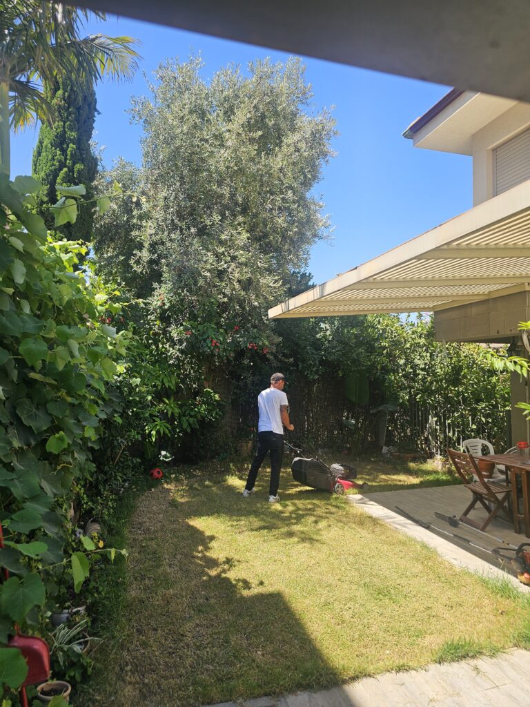 ססידור גינה פרטית בקריות גיזום דשה