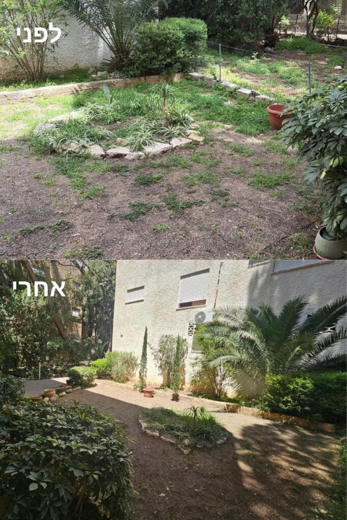 ניקיון גינה, הורדת צמחייה וגיזום בבית משותף בחיפה לטיפוח סביבת מגורים נקייה, מסודרת ונעימה לדיירים