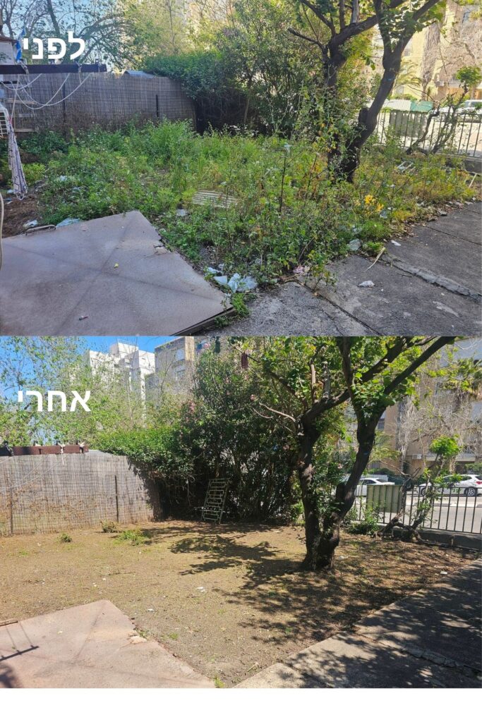 לפני אחרי ניקיון גינה פינוי גזם ופסולת בקריות