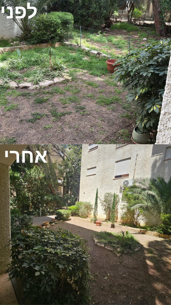 ניקיון גינה, הורדת צמחייה וגיזום בבית משותף בחיפה לטיפוח סביבת מגורים נקייה, מסודרת ונעימה לדיירים