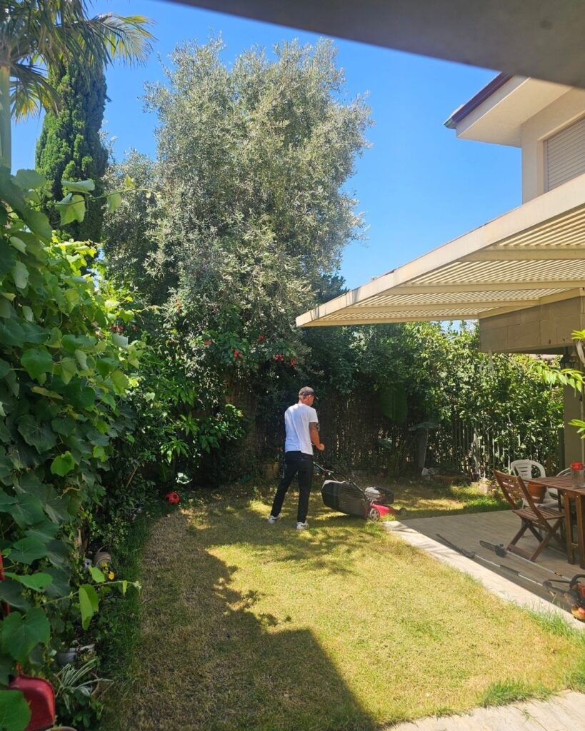 קיצוץ דשה תחזוקה גינה בחיפה