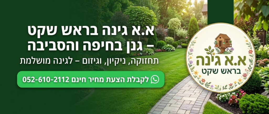 בנאר ראשי לעמוד הבית